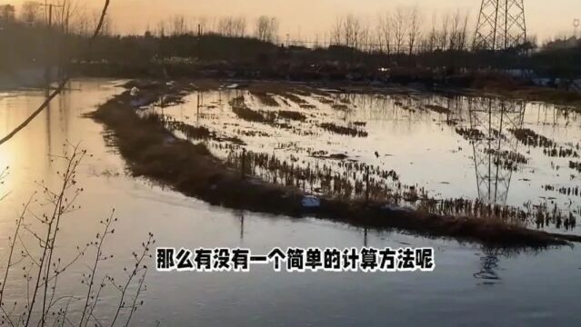 虾稻共作虾苗投放秘籍:告别计算困扰,轻松掌握养殖密度!