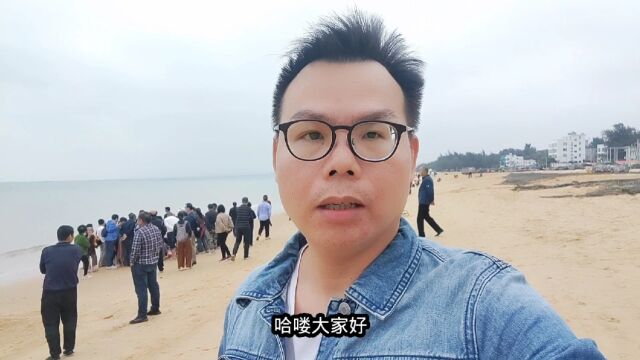 海南海鱼太好卖了,疯抢当中.