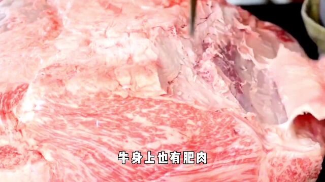 见过猪油、牛油,你是否见过“鸡油”?它为啥如此罕见?