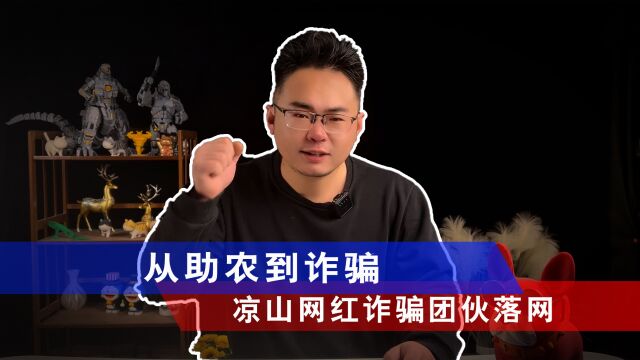 法网恢恢!凉山网红诈骗团伙落网