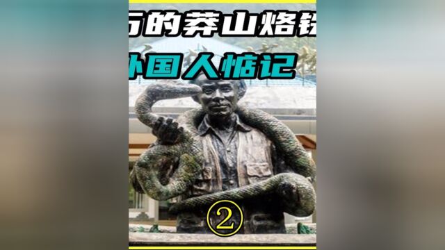 身价上百万的“蛇中熊猫”,莽山烙铁头,为何会被外国人惦记?2#科普一下#奇闻趣事#冷知识#动物#莽山烙铁头蛇