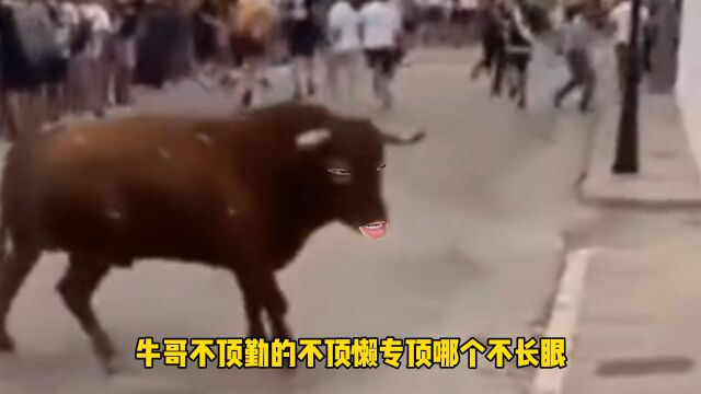 不顶勤,不顶懒,专顶不长眼