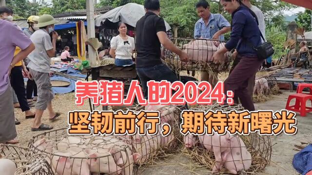 写给养猪同仁的一封信养猪人的2024:坚韧前行,期待新曙光