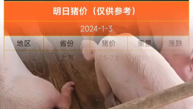 明天最新猪价,1月3日最新猪价继续上涨!