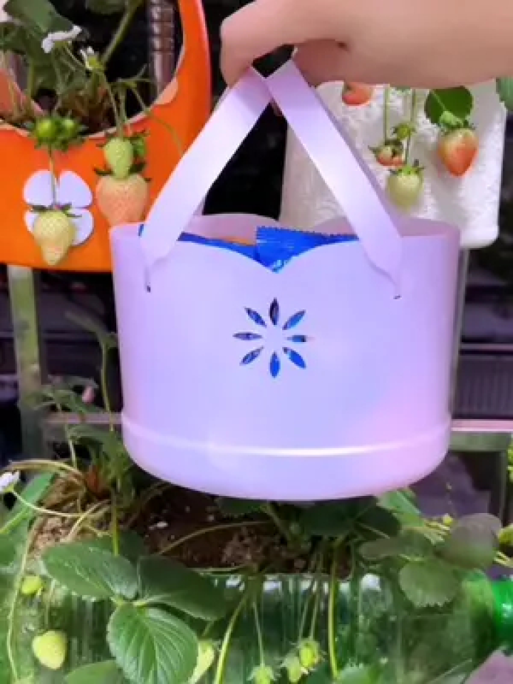 塑料瓶变废为宝做手提篮#手工diy #空瓶子的妙用 #变废为宝 #旧物改造