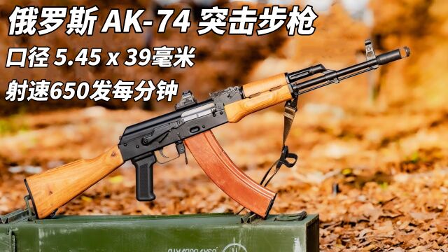 「战场老兵」AK74 突击步枪 口径虽小 但杀伤力十分恐怖 配备当时所有最先进的技术