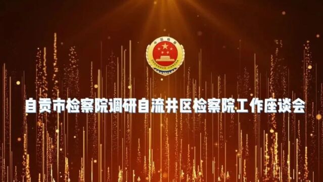 自贡市人民检察院代理检察长张志军调研自流井检察工作