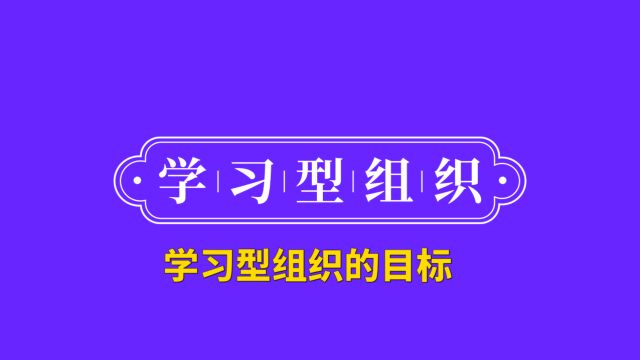 13学习型组织的目标2