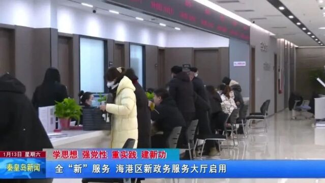 【学思想 强党性 重实践 建新功】全“新”服务 海港区新政务服务大厅启用