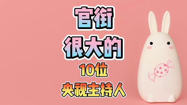 官衔很大的10位央视主持人