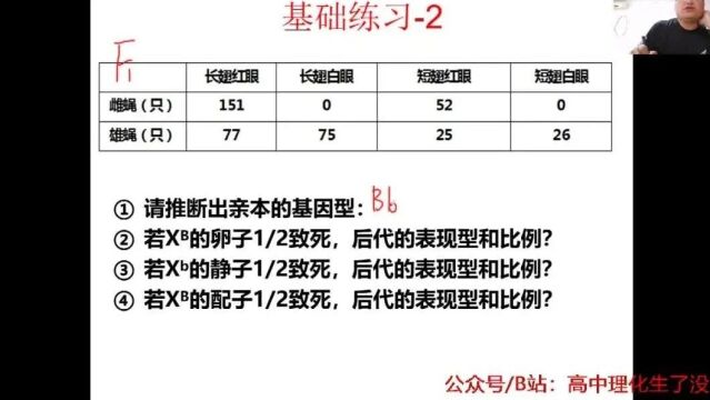 2024年生物高考二轮复习:棋盘法判断致死基因型