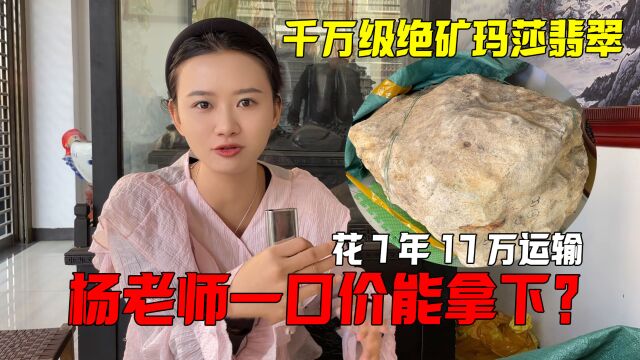 千万级绝矿玛莎翡翠!竟花7年17万运输?杨老师一口价能拿下?