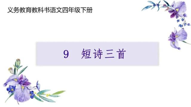 【小语优质课】2023年第四届小学青年教师语文教学展示与观摩活动优秀课例四年级5节合辑