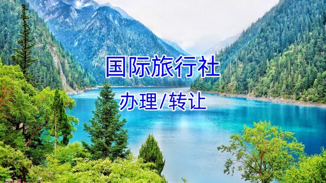 旅行社转让需要满足什么条件?如何迁移?