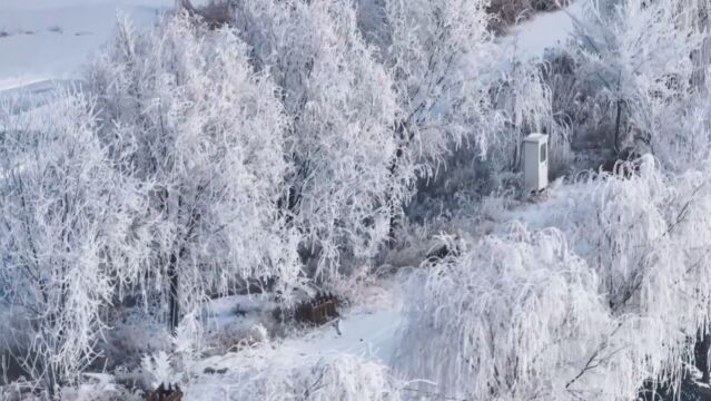 千城胜景|内蒙古土默特左旗:雾凇之美 冰清玉洁