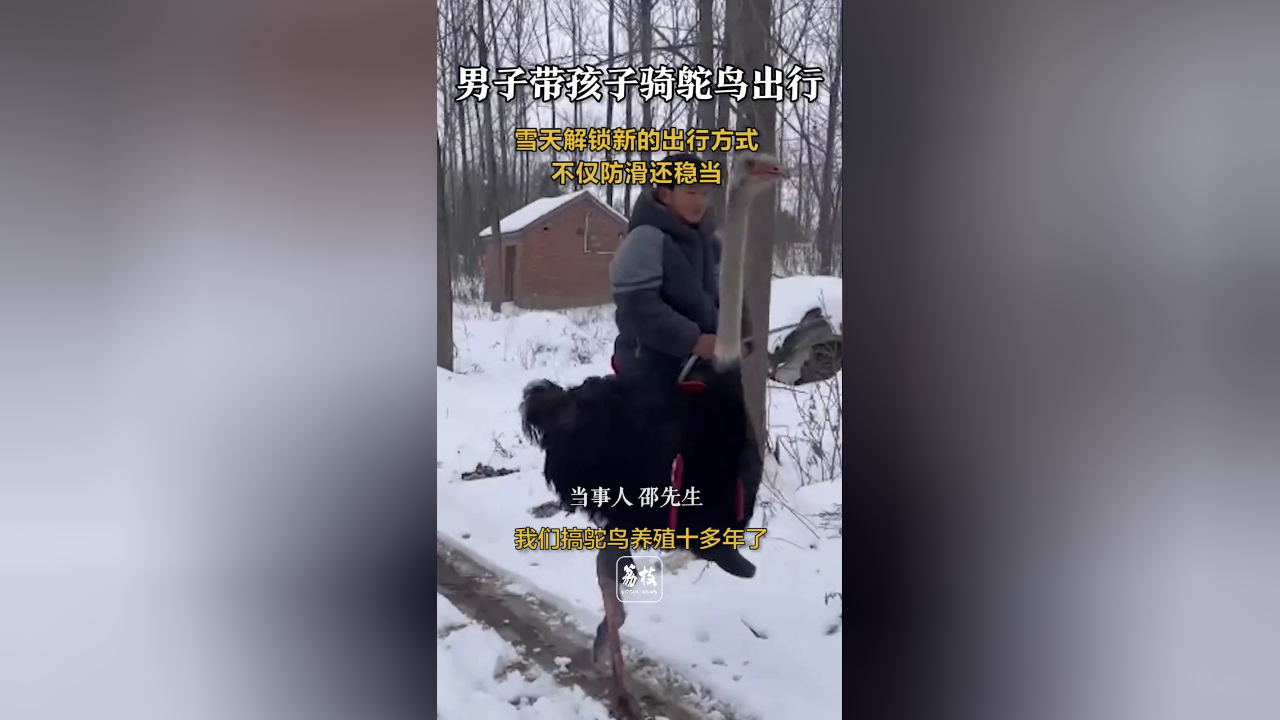 男子带孩子骑鸵鸟出行,雪天解锁新的出行方式,不仅防滑还稳当