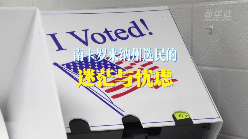 美国选民:移民危机,经济困境,竞选人却"只会斗来斗去"