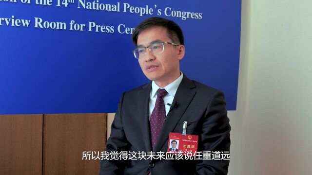 全国人大代表王立平以新材料的突破引领未来产业方向