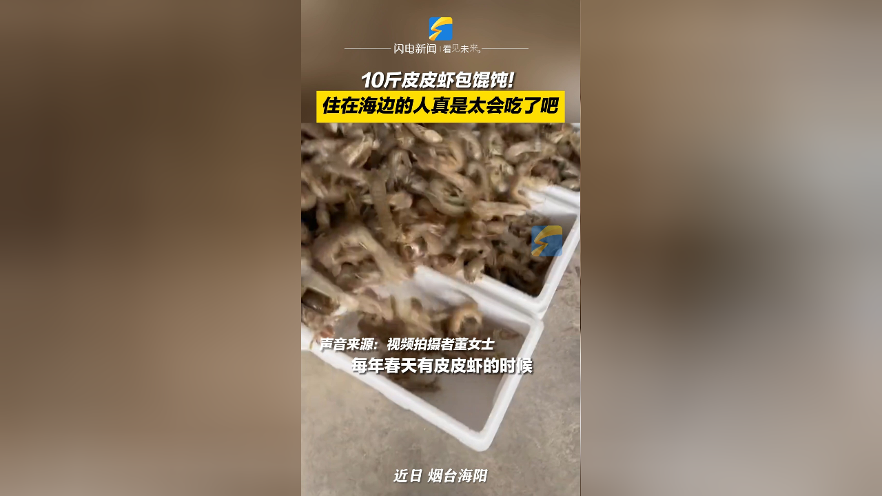 10斤皮皮虾包馄饨!住在海边的人真是太会吃了吧