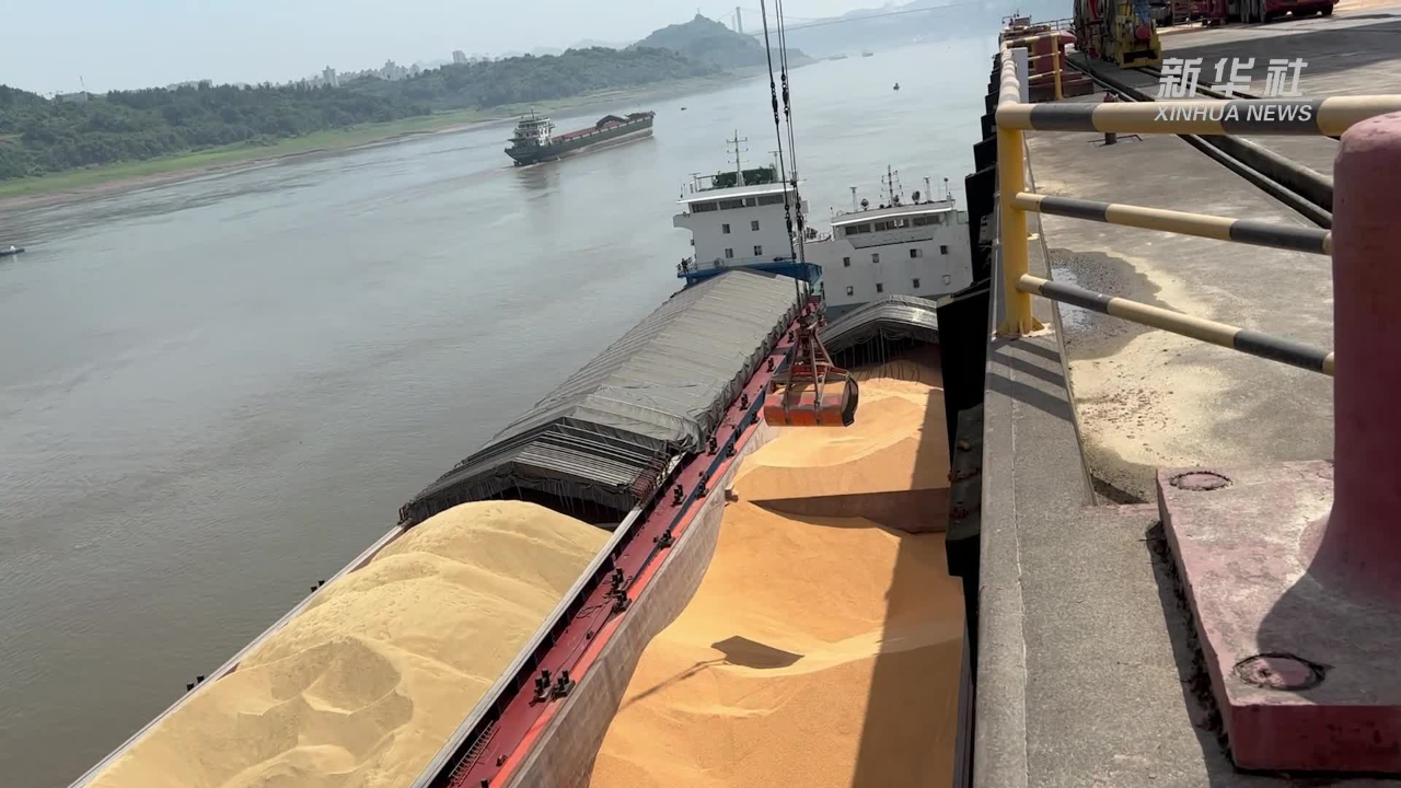 重庆涪陵龙头港发出首趟散改集粮食班列