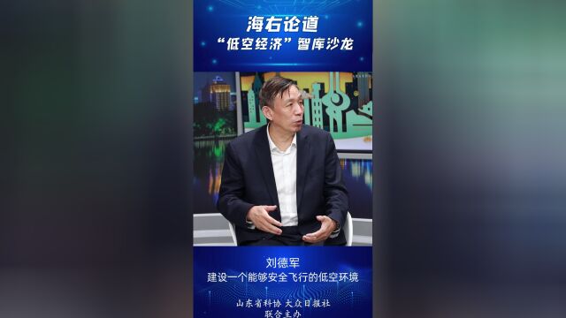 刘德军:建设一个能够安全飞行的低空环境