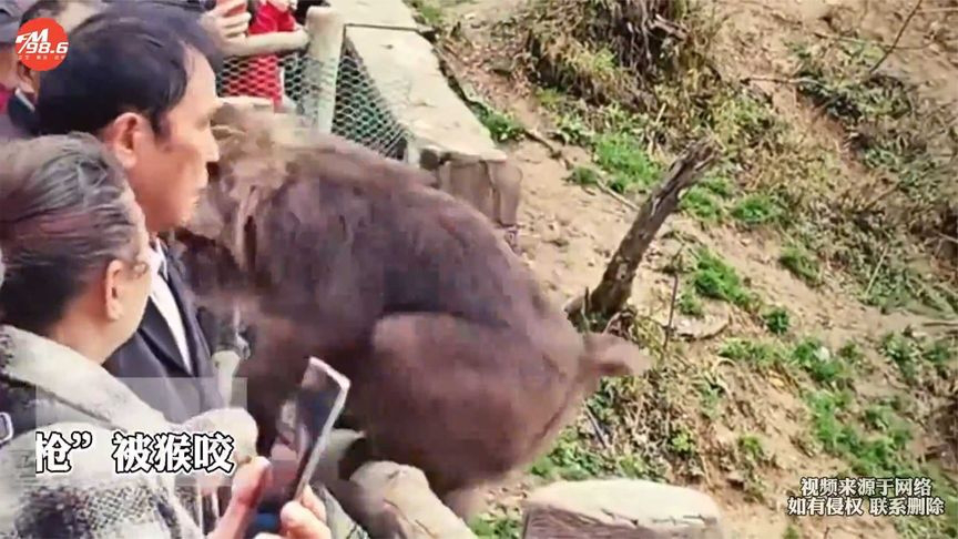 阿姨用手摸猴屁股,在旁边的大爷"躺枪"被猴咬