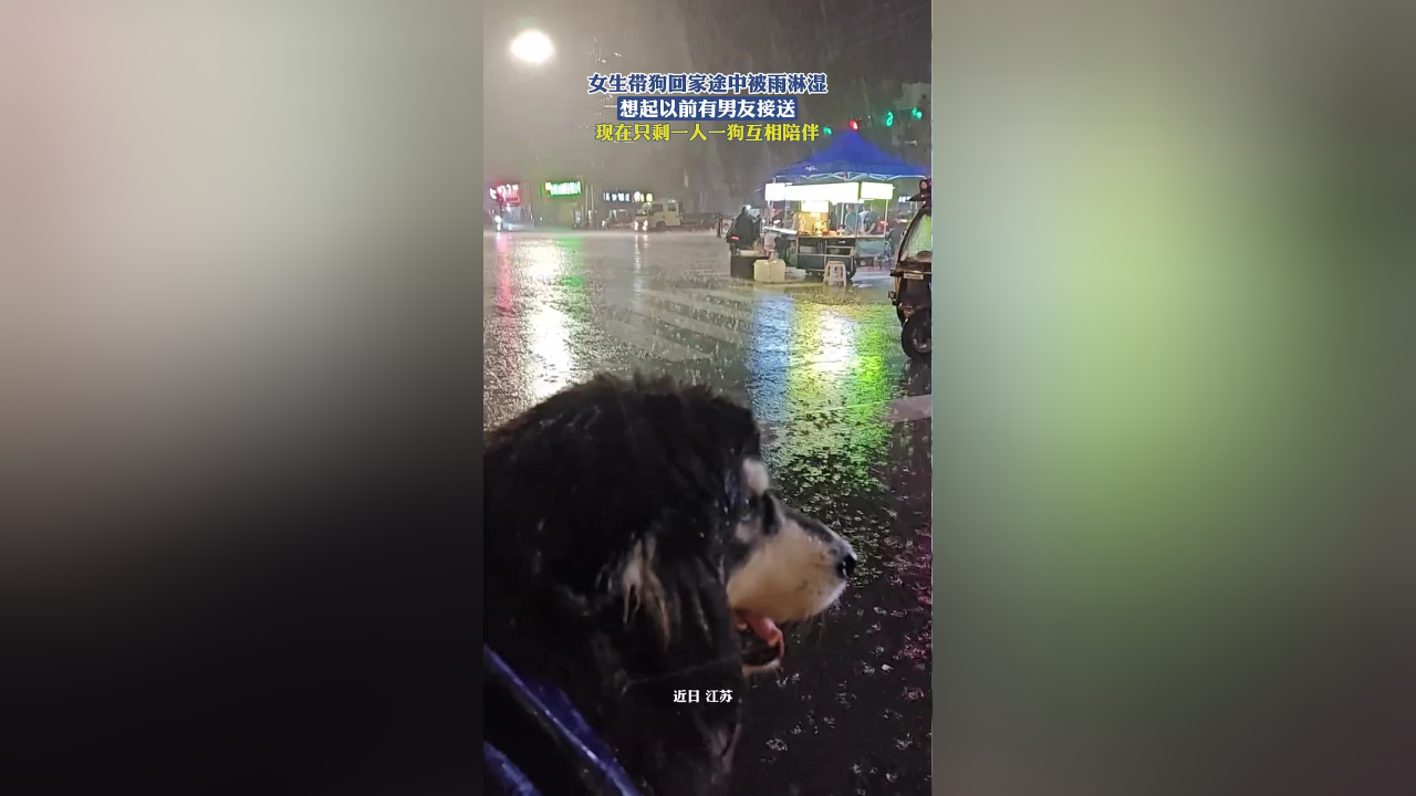 女生带狗回家途中被雨淋湿