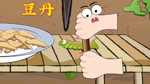 "豆丹"的经济效益可比黄豆大多了