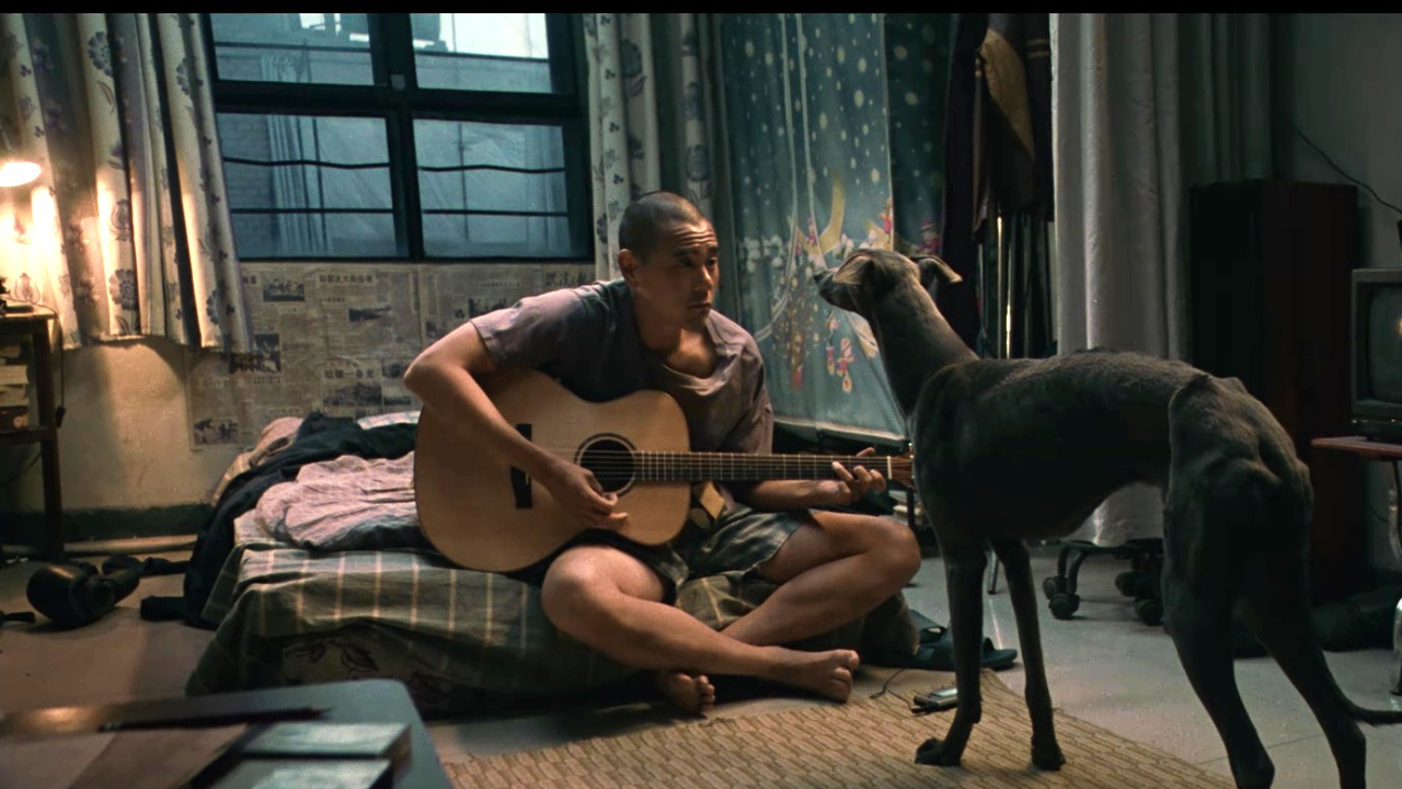 彭于晏和狗同吃住大秀肌肉