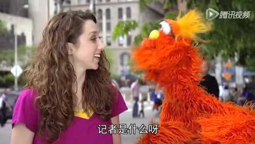 芝麻街国际版第41季 20集