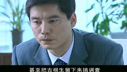 我本英雄 20集