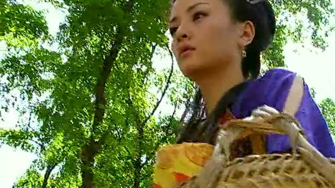 月上江南 11集