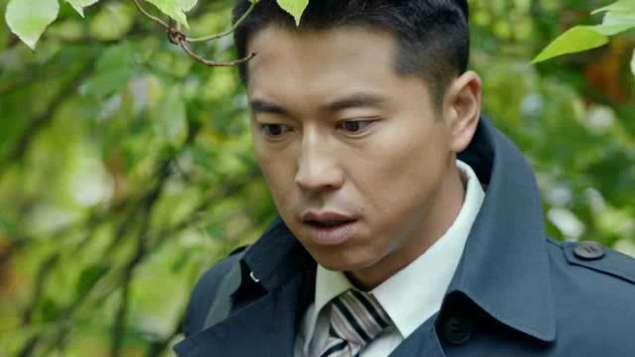 最后一张签证 17集