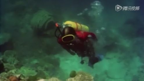 爱登堡首次戴“泡泡头盔”潜水拍摄 险些被淹死