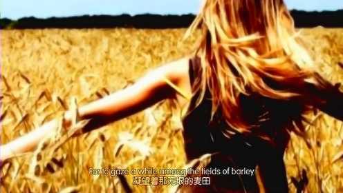 Eva Cassidy《Fields of Gold》