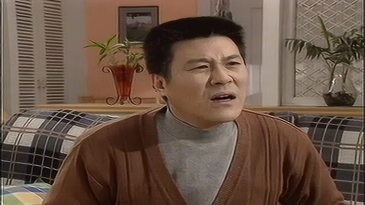 家里比较烦 20集