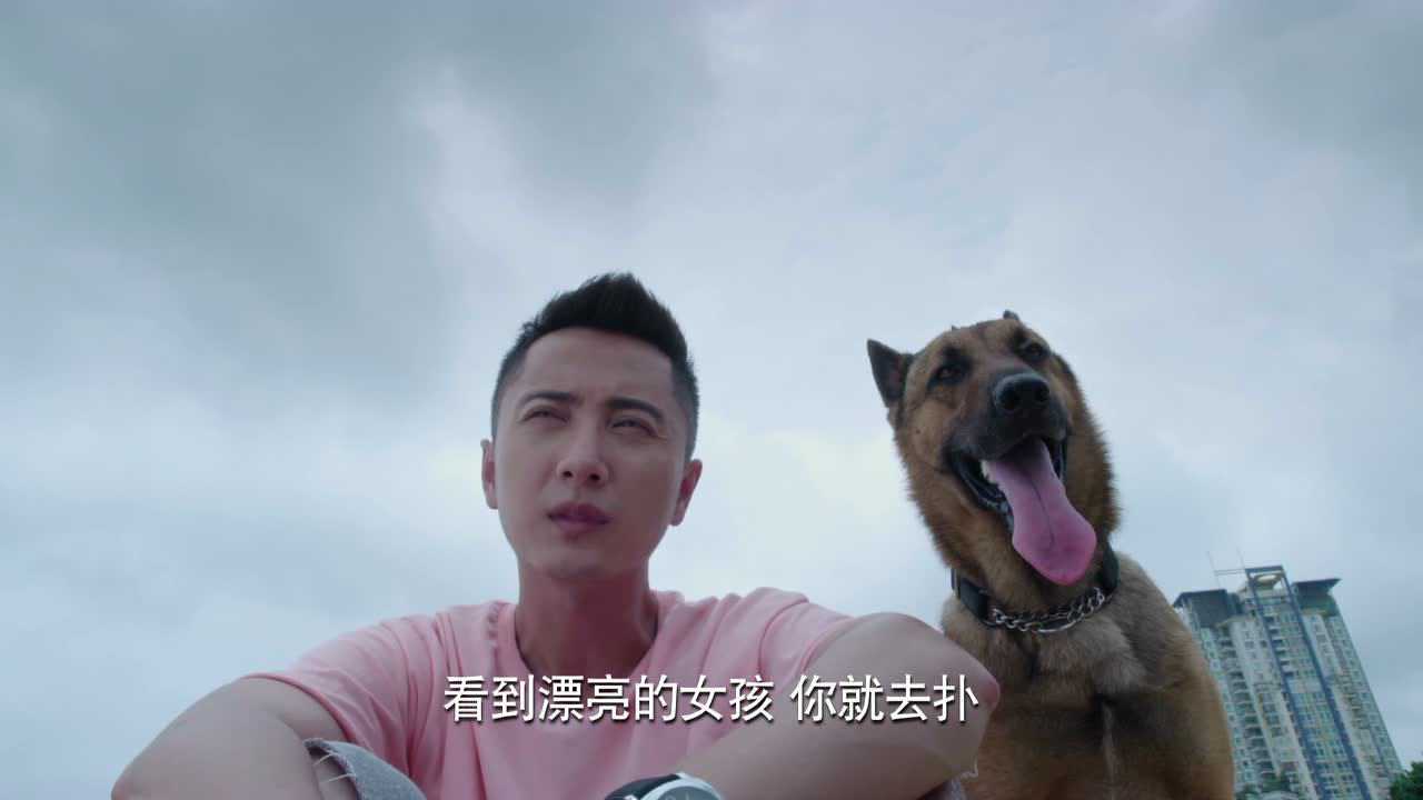 警犬来啦 14集