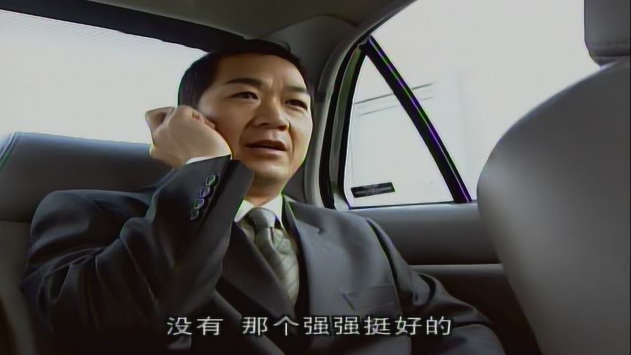 忠诚 10集