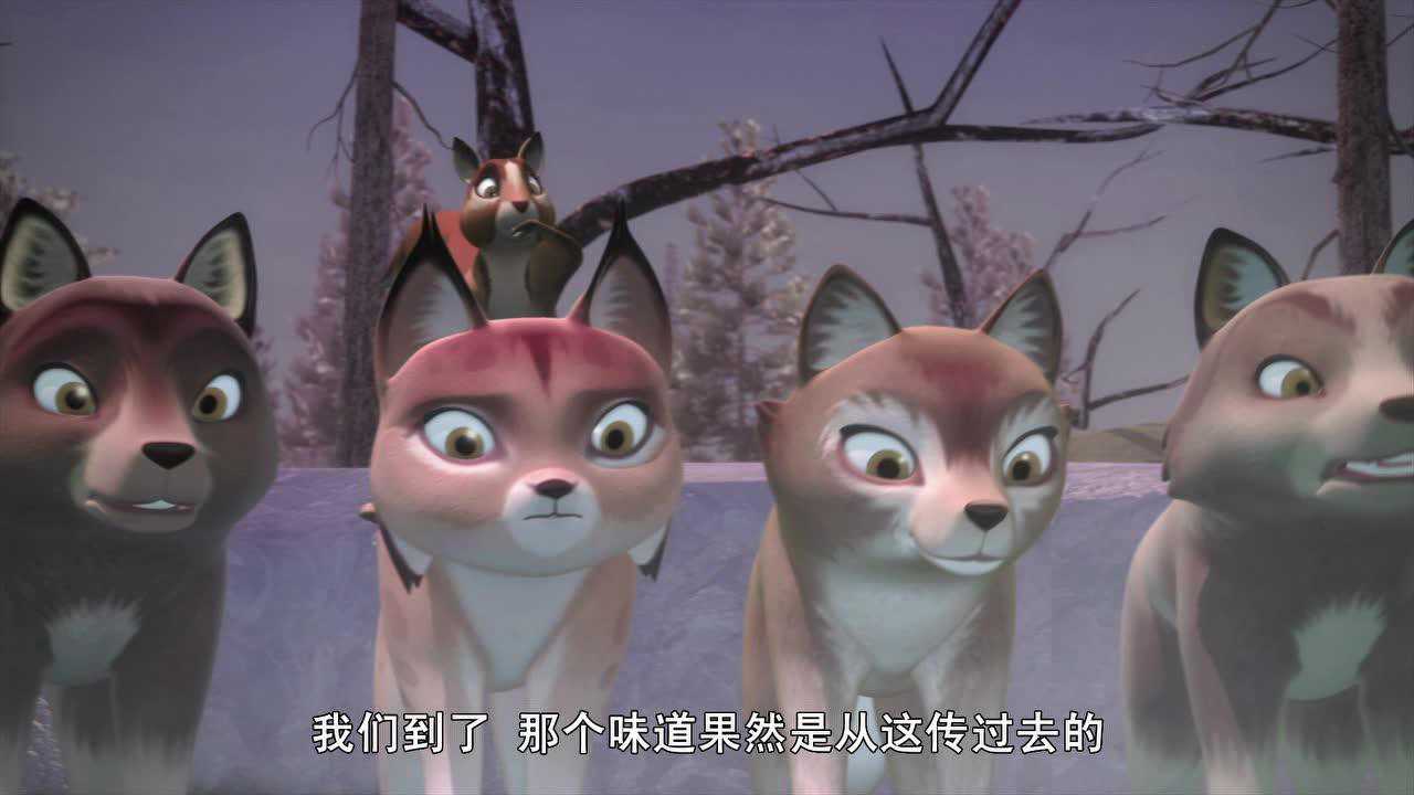 小狼旺吉 英文版 40集
