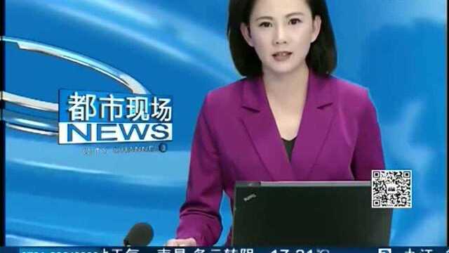 挂靠公司年审货车营运证 为何迟迟办不好?