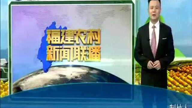 龙岩永定 投入600万元兴建乡村一类港湾式客运站