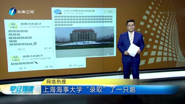 网络热搜 上海海事大学“录取”了一只鹅