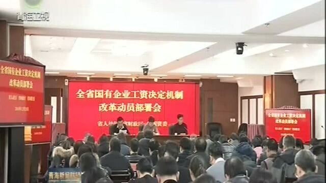 我省召开国有企业工资决定机制改革动员部署会