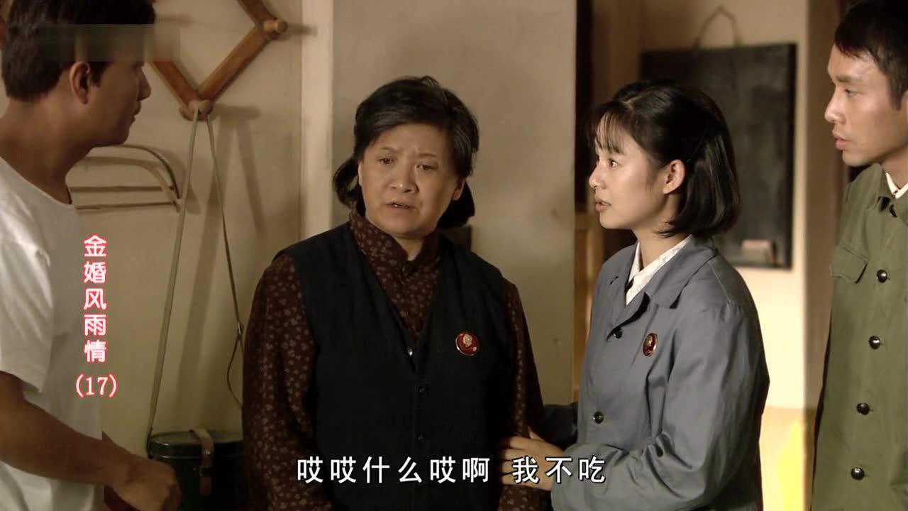金婚风雨情 17集