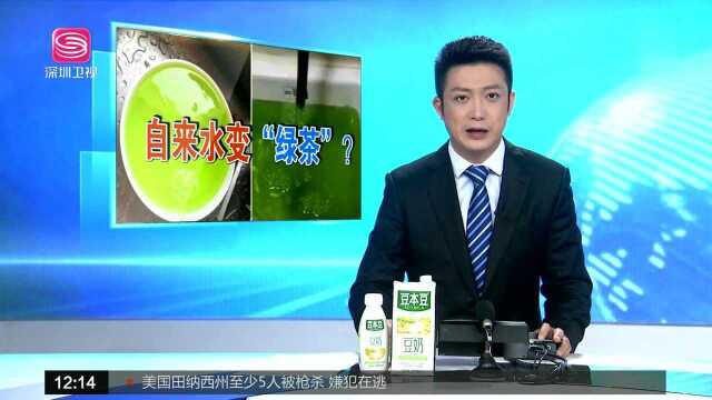 湖北安陆:全城自来水变“绿茶”居民抢购瓶装水