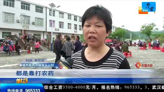 垄上农学院 好看好玩拿奖品 麻城乡亲家门口学技术