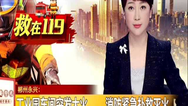 郴州永兴:工业园车间突发大火 消防紧急扑救灭火