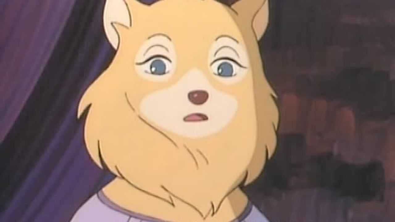 三个火枪手 11集