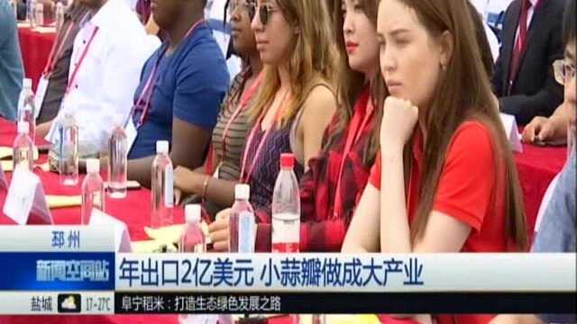 邳州:年出口2亿美元 小蒜瓣做成大产业