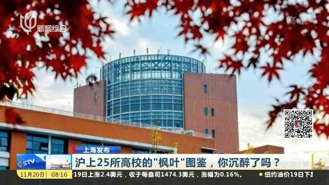 沪上25所高校的“枫叶”图鉴 ,你沉醉了吗?